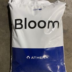 Athena Proline Bloom