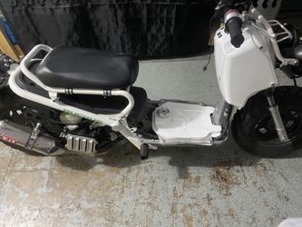 2019 Honda Ruckus
