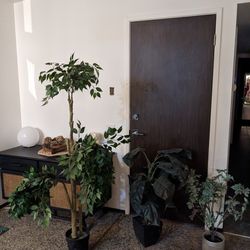 Fake Plants Trees Bushes