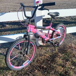 Bike Has A 20" Tires 