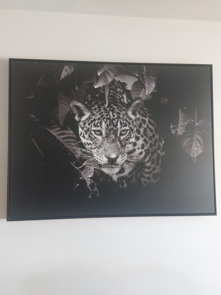 Leopard Canvas