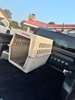 Pet Porter Hard-Sided Pet Carrier Crate
