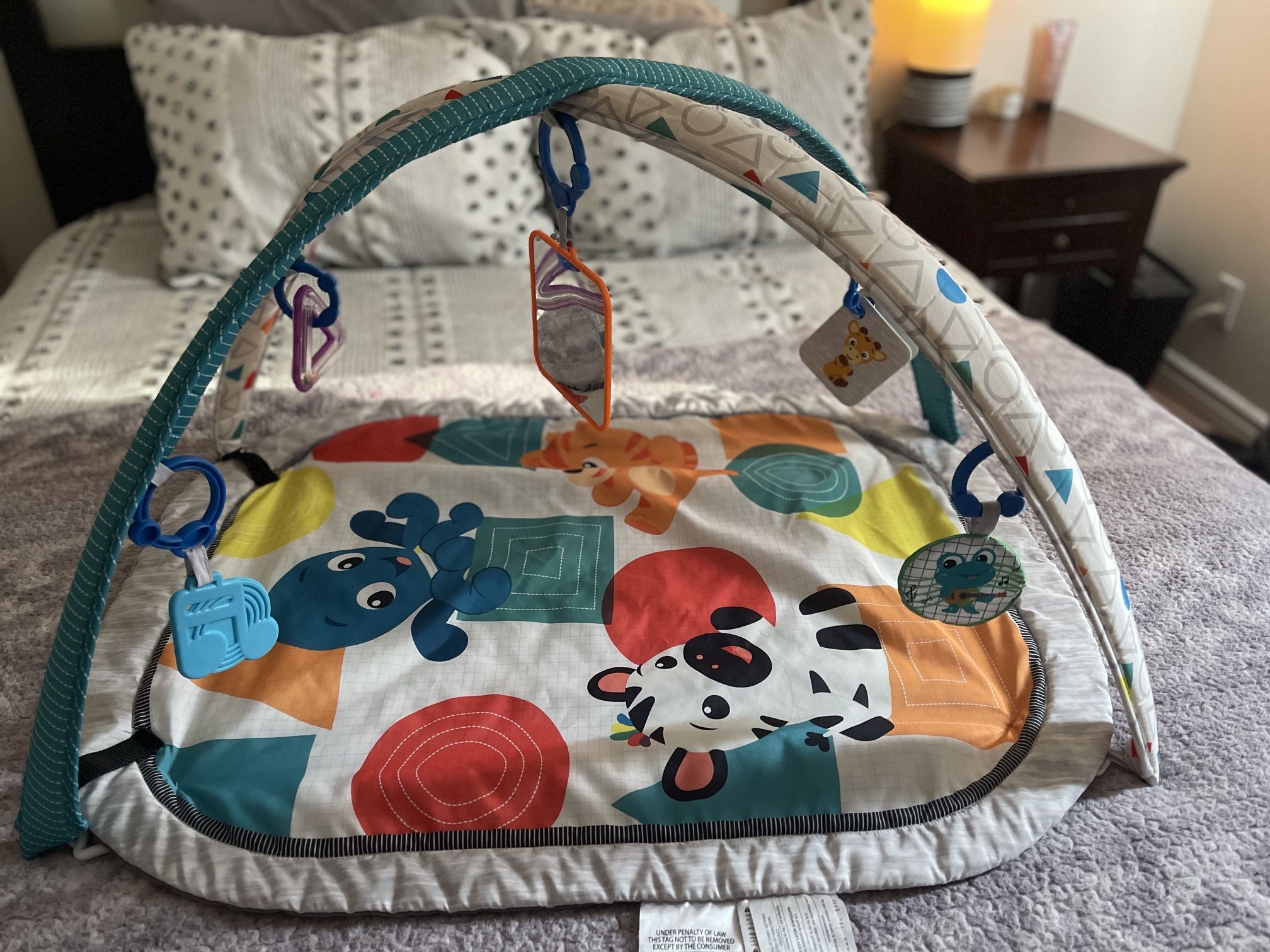 Baby Einstein Activity Center