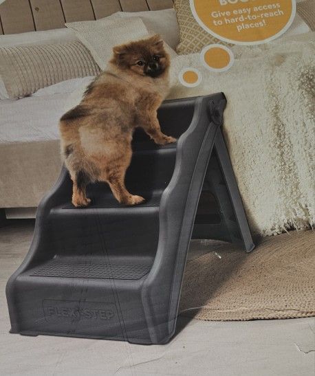 Dog Stairs