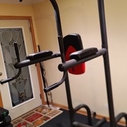 Weider Power Tower 