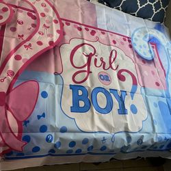 Gender Reveal Backdrop