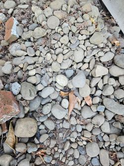 Free Rocks