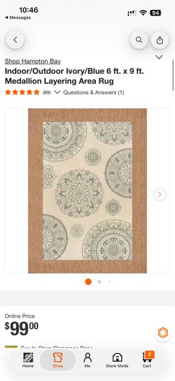 Hampton Bay Indoor/Outdoor Ivory/Blue 6 ft. x 9 ft. Medallion Layering Area Rug