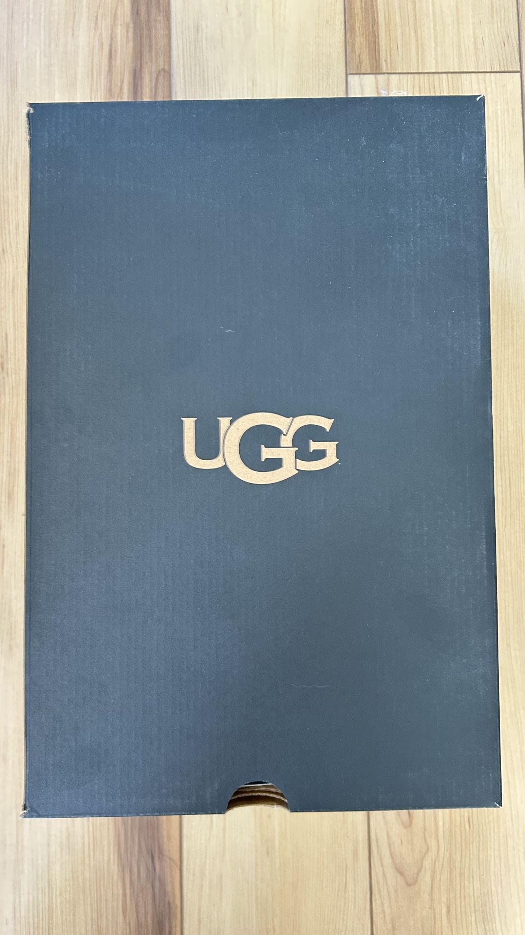 Men’s Brown UGG slippers