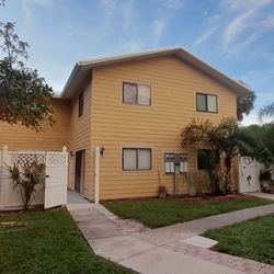 Professional Painting 