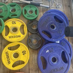 XP 200 Weight Bench With Weights