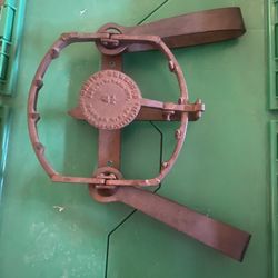  Newhouse 0nnida,  Bear Trap