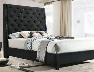 Queen Platform Bed