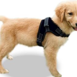 Dog Harness Medium Sized Dog