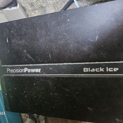 1,000 Watt Amp & 12 Inch Subs