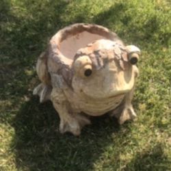 New Flower Pots Perfect Gift For Any Occasion 