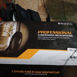 Professional Microphone 