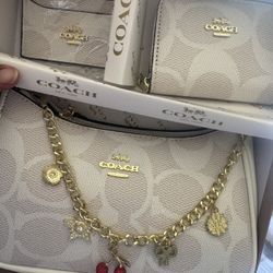 White Coach Set 