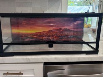Reptile tank