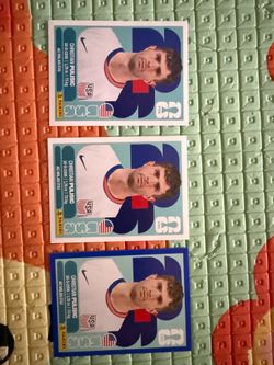 Panini Christian Pulisic