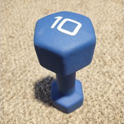 10lb Dumbbell 