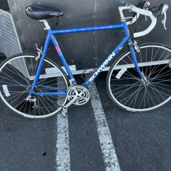 Classic Bike Made In Chicago $100 Size Large 