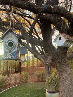 birdhouse collection