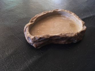 Reptile food dish( shallow)