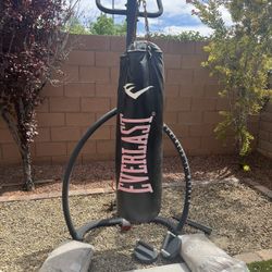 Everlast Heavy Punching Bag