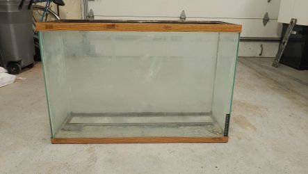 40 gallon tall aquarium
