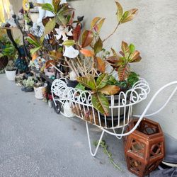 Big yard sale !!! Different sizes fair prices!