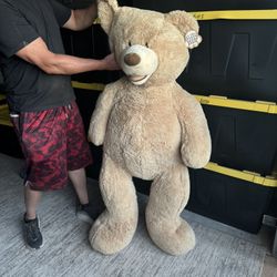 Huge Teddy Bear