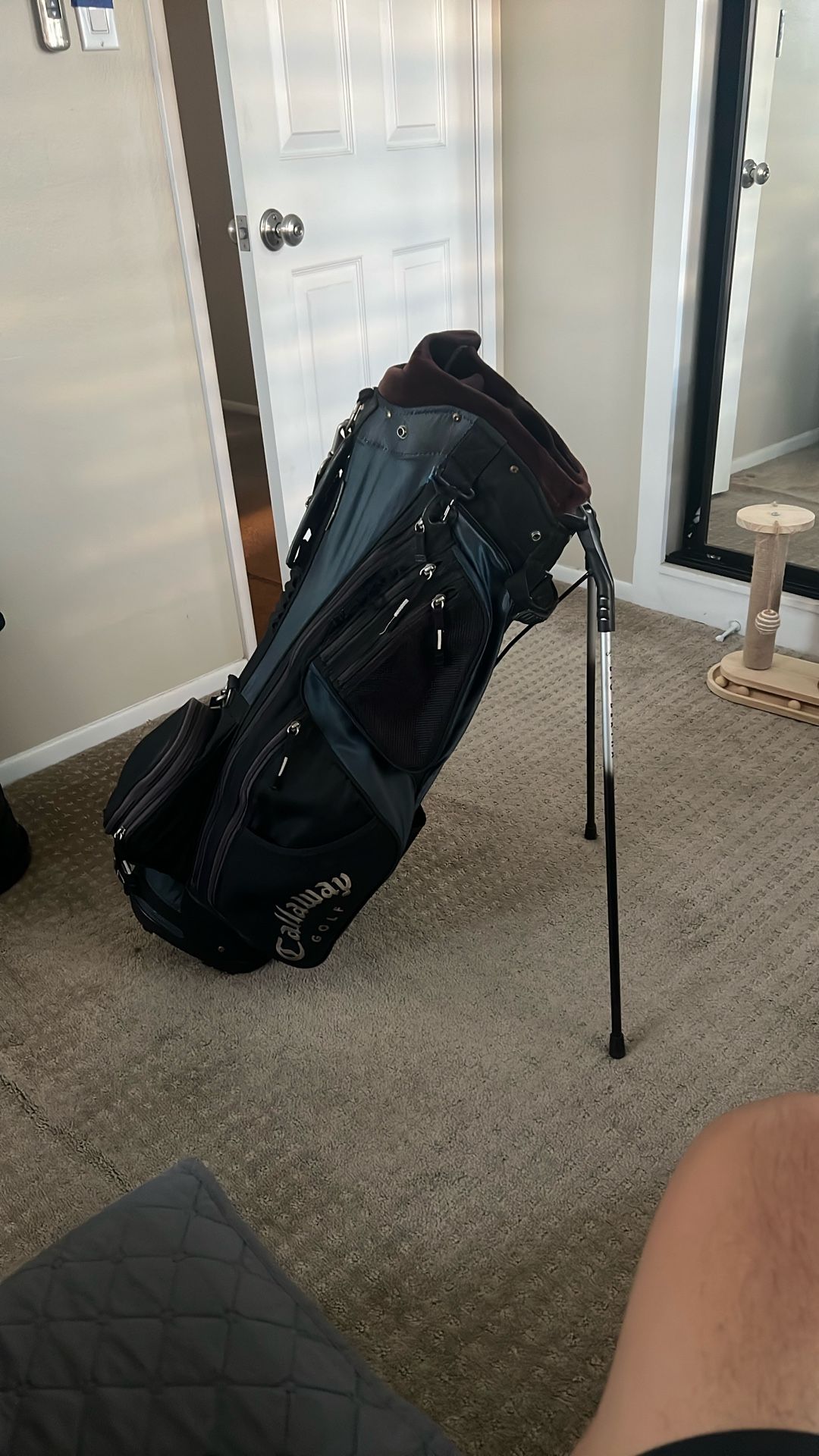 Callaway Big Bertha Stand Golf Bag 