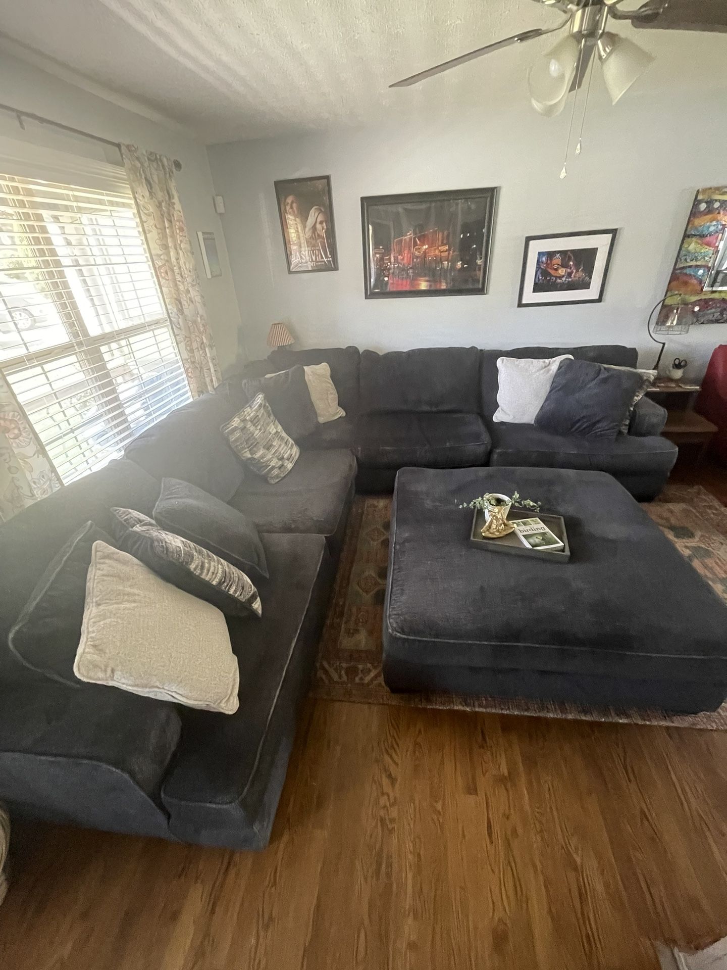 Plush Sectional Couch For Sale