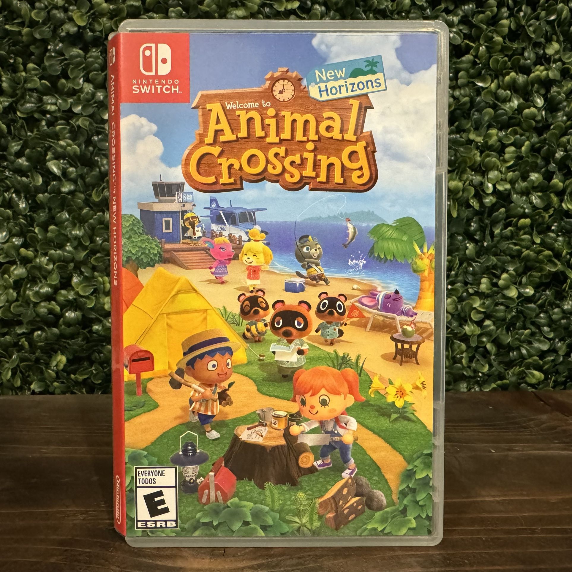 Animal Crossing New Horizons Nintendo Switch