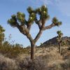 East Palmdale Goods