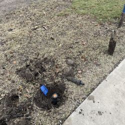 Yard Sprinklers (rain Bird)