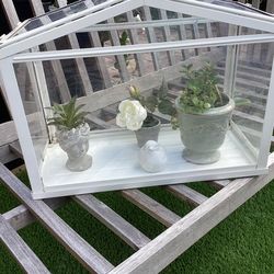 Terrarium for plants