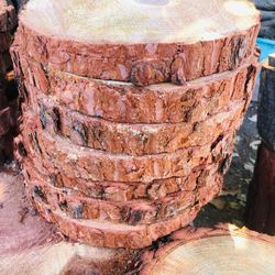 Wood Slices 