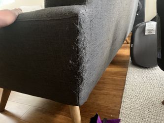 Free couch with cat damage