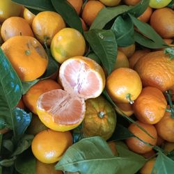 Fresh Produce