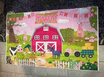 #2 farm birthday party