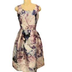 Alexa N Nites Sz 6 Women Floral Dress