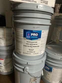 Paint 5 Gallon Flat