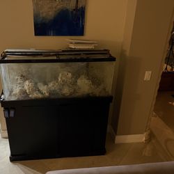 50 Gallon Salt Water Fish Tank 