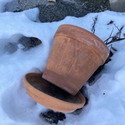 Clay Planter Pot
