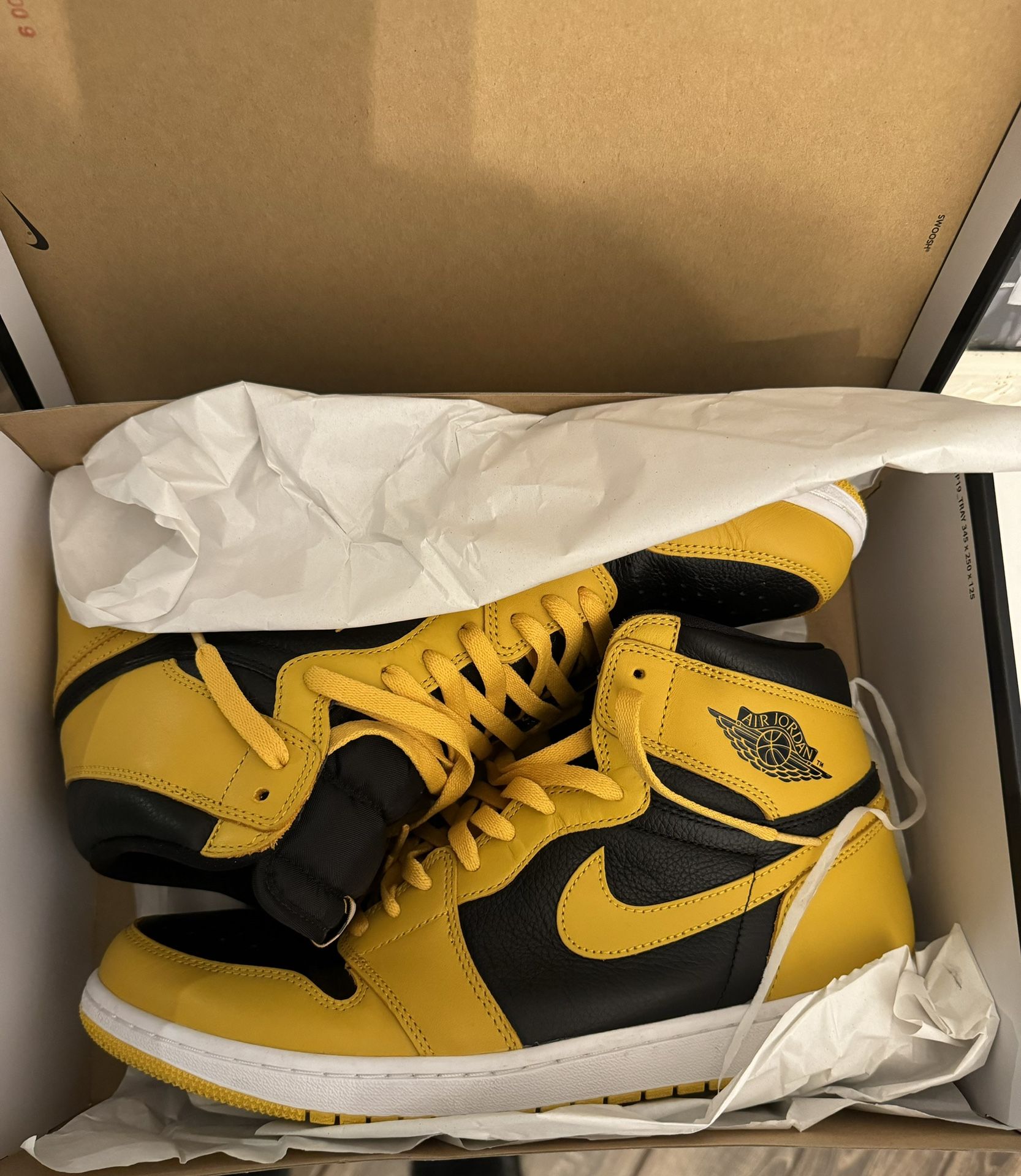 Jordan 1 Sz 13