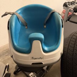 Ingenuity Booster Seat