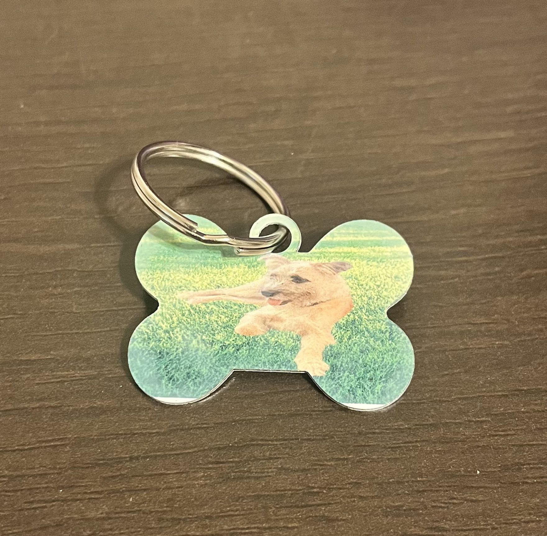Pets Dog Tags Custom