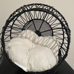 Miniature Dog Chair With Puppy Carrier Book Bag 